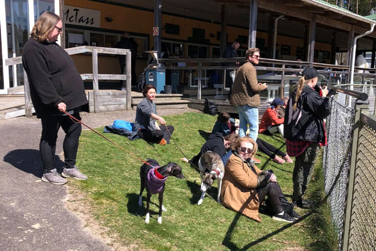 Hundliv vid tävlingen