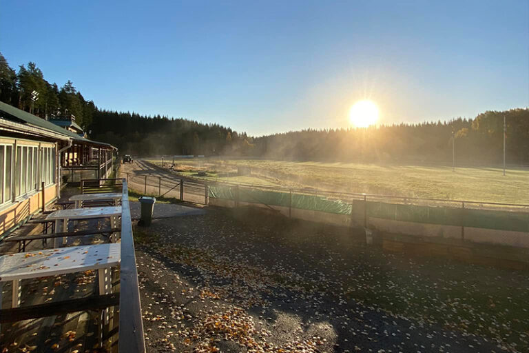 Morgonljus över banan